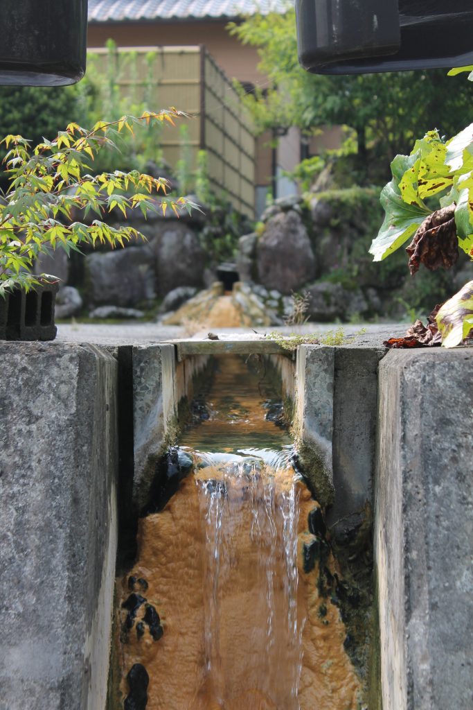 Source thermale au ryokan Yukimiso avec le onsen Nagayu, Oita
