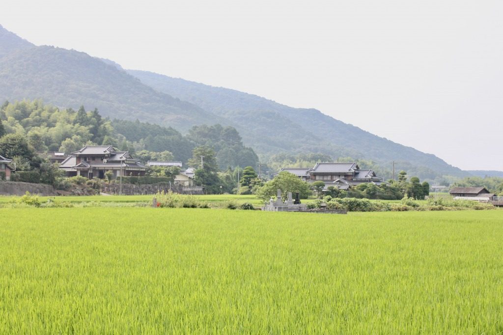 Vue de Tashibunoshou où se trouve la ferme Ofuji située à Tashibunoshou inscrit au patrimoine mondial de l’agriculture, Oita