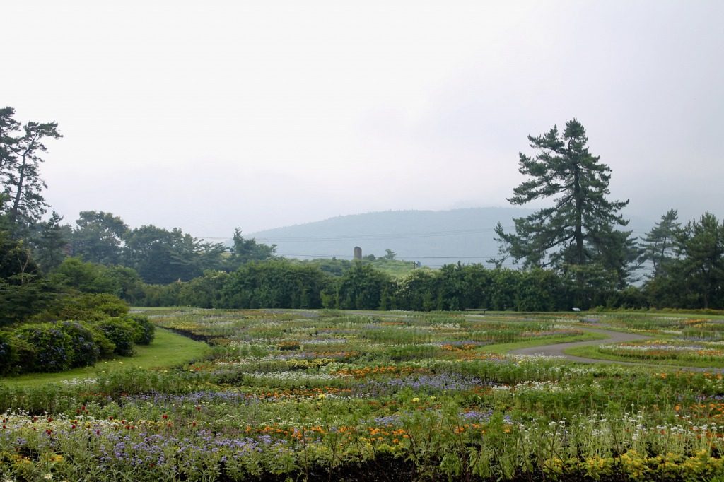 "Outlook Hill"au Kuju Hanakoen, parc fleuri idyllique dans la parc national Aso Kuju