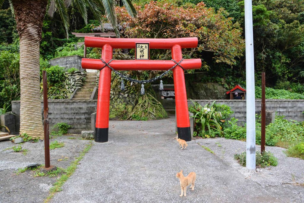 L'île aux chats Fukajima dans la préfecture d'Oita à Kyushu