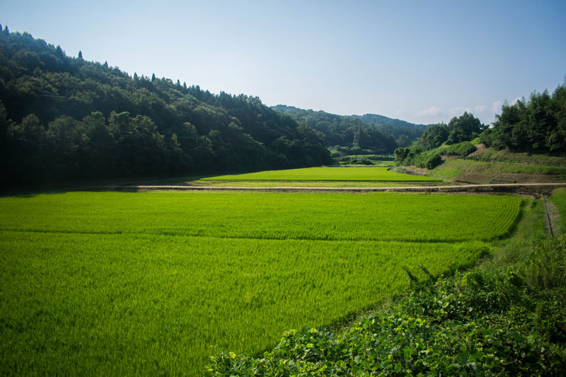 La campagne japonaise près de la ville d'Usuki, préfecture d'Oita, Japon