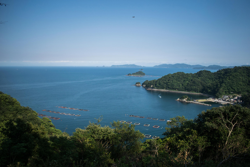 Point de vue en haut de la randonnée sur l'île d'Ohnyujima