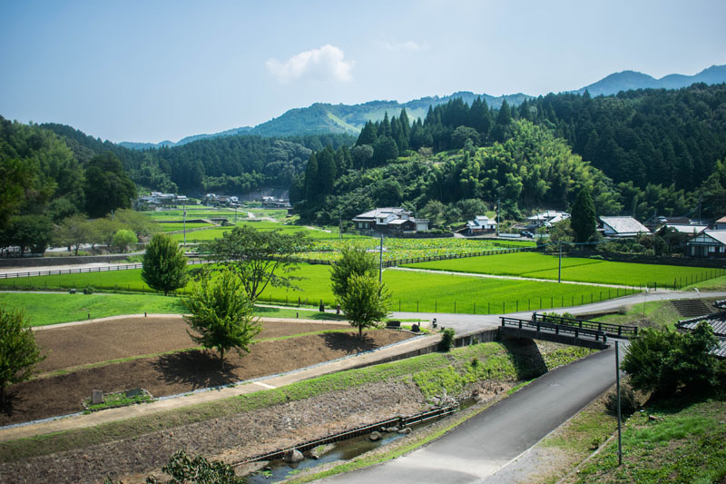 Point de vue depuis la colline aux Bouddhas de pierre à Usuki, préfecture d'Oita, Japon